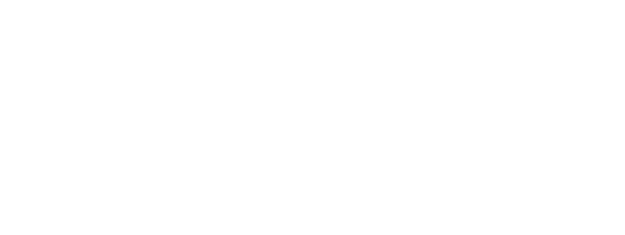 OM Digital Logo